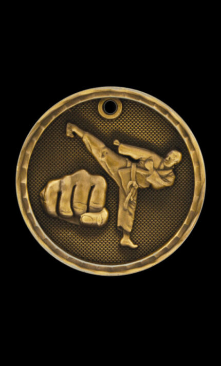 martial arts 3d medal