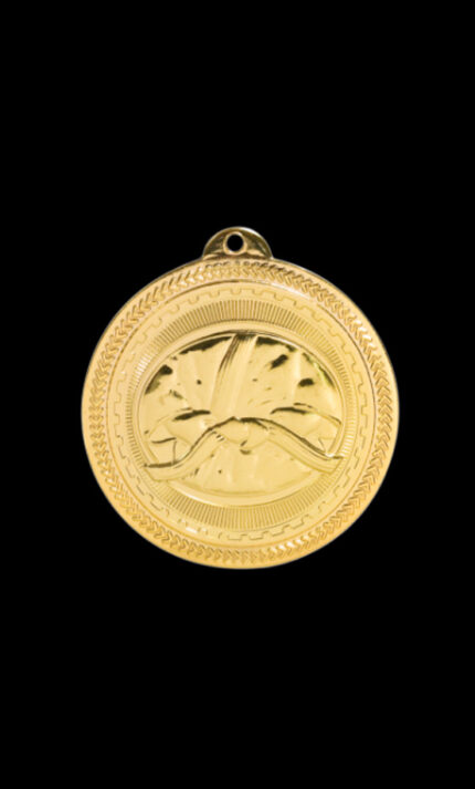 martial arts britelazer medal
