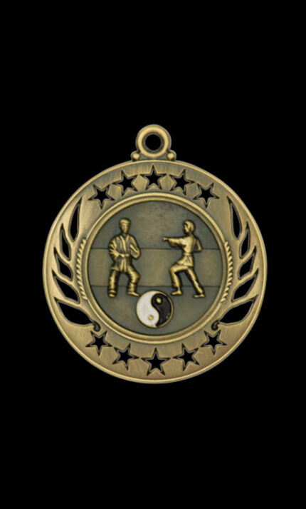 martial arts galaxy medal