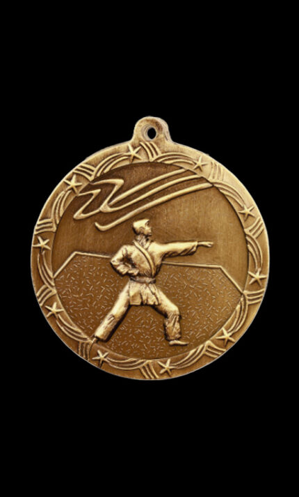 martial arts shooting star medal