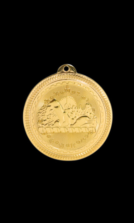 swimming britelazer medal