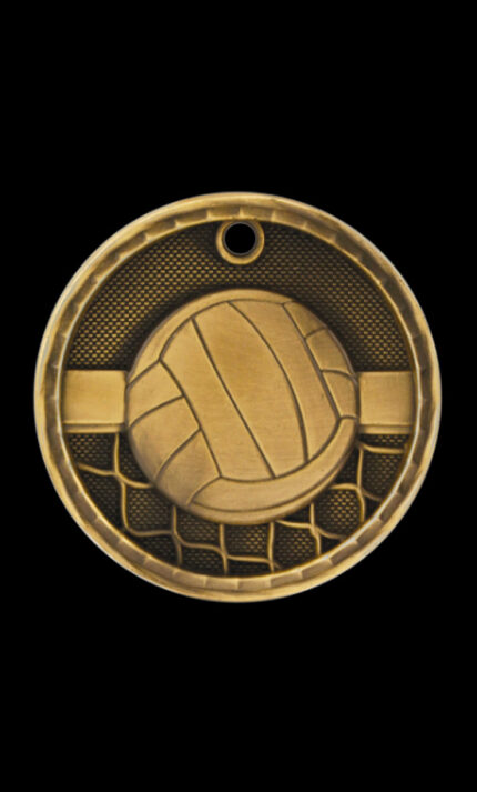 volleyball 3d medal