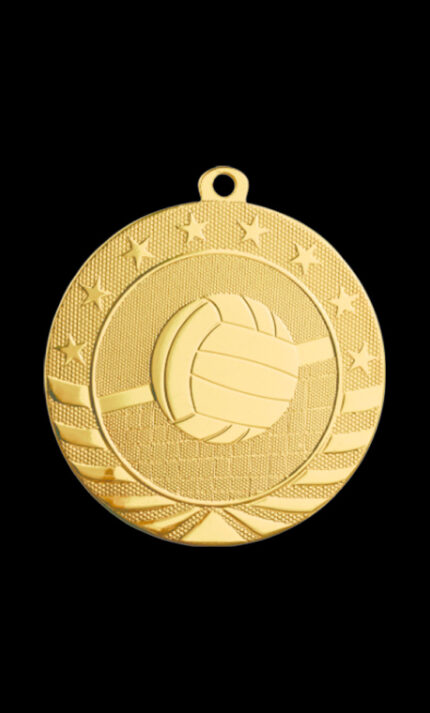 volleyball starbrite medal